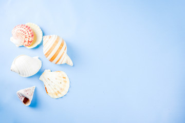 Summer seashells background