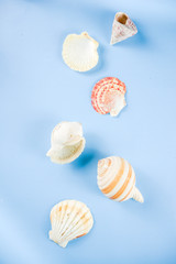 Summer seashells background