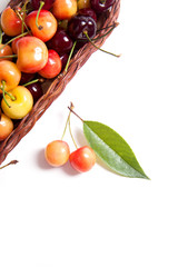 Yellow and red sweet cherry in basket with green leaf isolate on white.