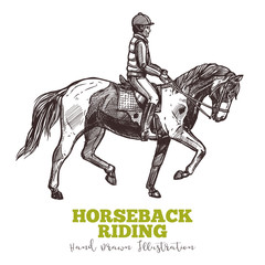 Rider on horse, horseback ridding handdrawn sketch. Jockey on horse, equestrian concept illustration in engraved style. Vector isolated on white background