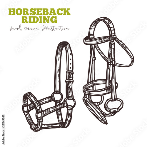 "Two varieties of horse bridle. equipment for ride. Image for