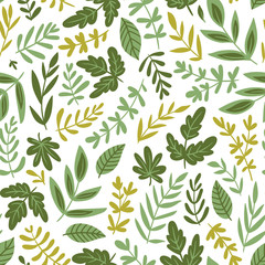 Hand drawn seamless pattern - salad greens and leaves isolated on white background in trendy organic style. Vector illustration for vegetarian menu or  packaging design.