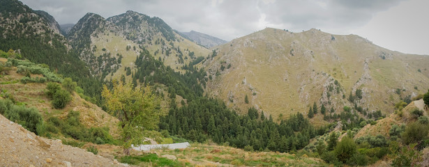Hania, Crete - 09 26 2018: Mountain landscape Therisso. Panoramic view of fir trees on the hill, a...