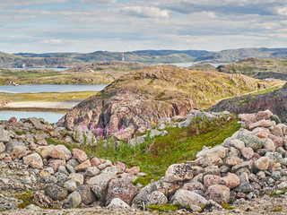 coast of the Barents Sea. Teriberka. Russia