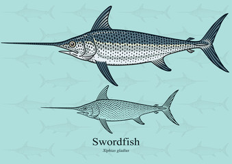 Fototapeta premium Swordfish. Vector illustration with refined details and optimized stroke that allows the image to be used in small sizes (in packaging design, decoration, educational graphics, etc.)