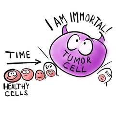 Tumor cell is immortal