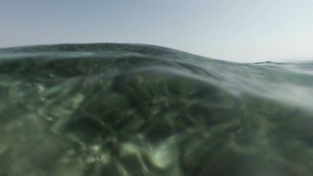 half in the water
