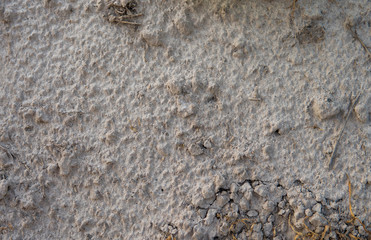 Dry fertile land with cracks under the hot sun.