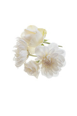 white flower delicate plant pink fresh chrysanthemum close-up postcard isolated background golden-daisy many roses bouquet