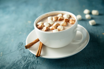 Hot chocolate with marshmallow and cinnamon