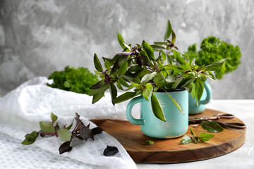 Metal cup with fresh aromatic basil on wooden board
