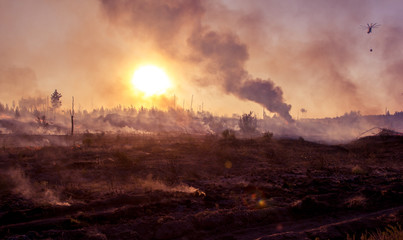 An autumn wildfire blazes in the Voronezh region