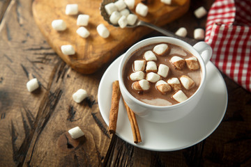 Fototapeta na wymiar Hot chocolate with marshmallow and cinnamon