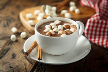 Hot chocolate with marshmallow and cinnamon