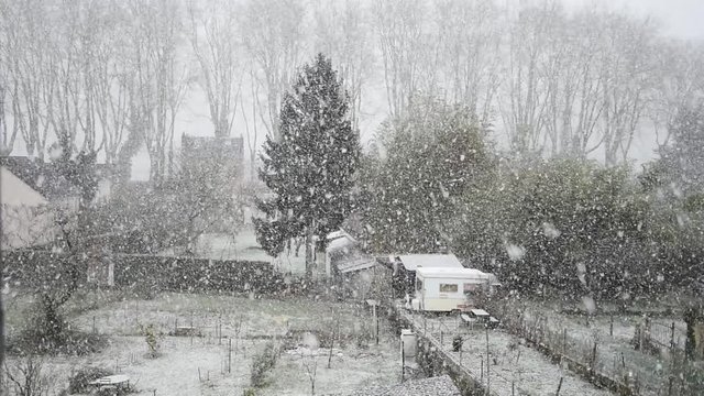 Winter landscape, snowfall in the garden