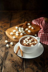 Hot chocolate with marshmallow and cinnamon