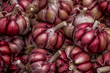garlic in the market