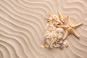 Fototapeta na wymiar Different sea shells and starfish on sand