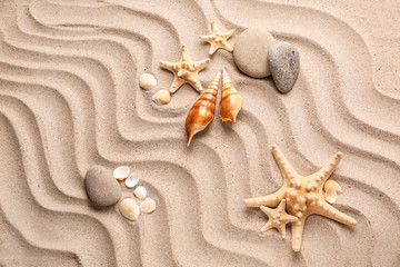 Fototapeta na wymiar Different sea shells with starfishes and stones on sand