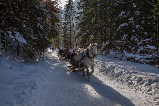 Kulig w Dolinie Kościeliskiej