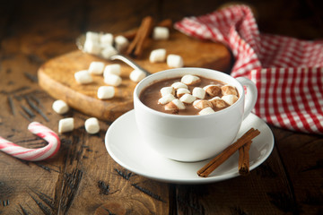 Hot chocolate with marshmallow and cinnamon