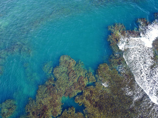 Fototapeta na wymiar Coral Reef aerial view, Dominica, Caribbean