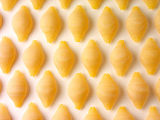 CONCHIGLIONI PASTA