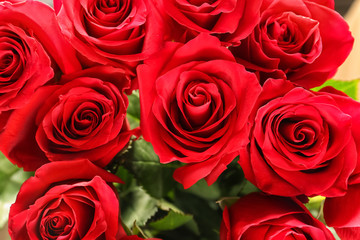 Bouquet of beautiful roses, closeup