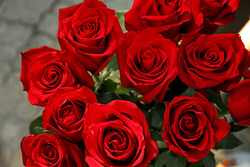 Bouquet of beautiful roses