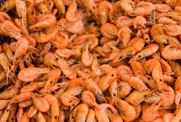 Close-up view of a pile of fresh little shripms.