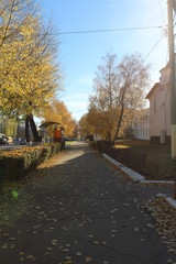 Obraz premium autumn in the city