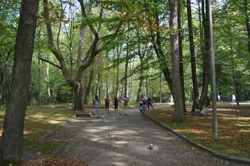 alley in the park.Truskavets