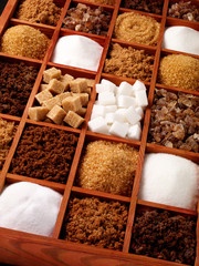 SUGAR