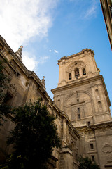 Fototapeta premium Cathedral of the Incarnation in Granada, Spain