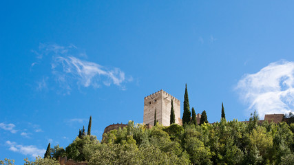 The Alhambra