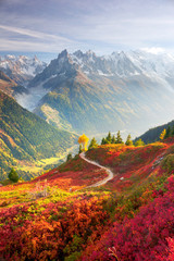 Red autumn Chamonix in the Alps - obrazy, fototapety, plakaty