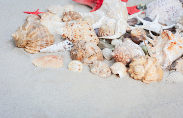 Obraz na płótnie Canvas Seashells on the sand. Summer beach background in Thailand with copy space for text