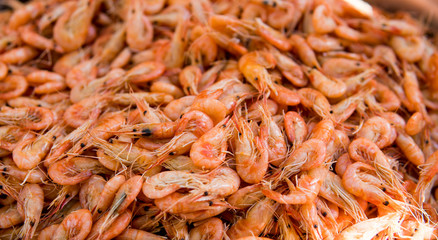 Close-up view of a pile of fresh little shripms.