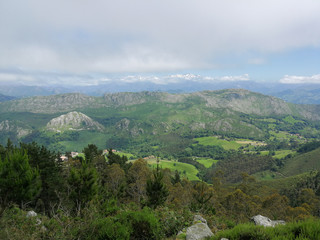 Picos de Europa