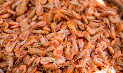 Close-up view of a pile of fresh little shripms.