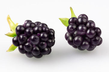 BLACKBERRIES