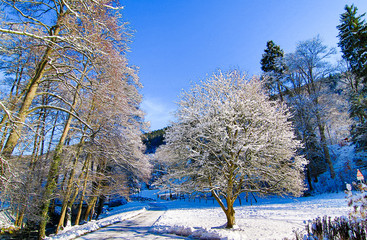 Winterlandschaft im Schwarzwald