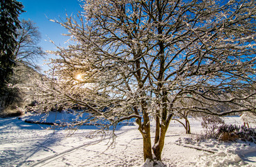 Winterlandschaft im Schwarzwald