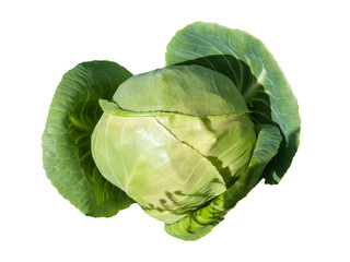 Fototapeta premium Green cabbage (Brassica oleracea) cut out and isolated on a white background