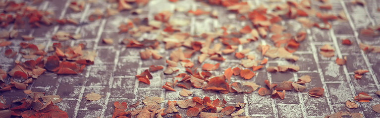 long narrow background autumn leaves /