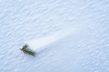 Winter background with frost texture