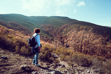 Woman hiking in beech forest in Autumn time