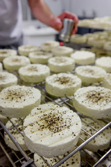 Soft cheese making no.6