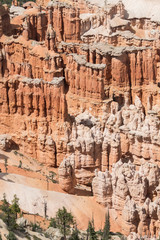 landscape on the bryce canyon in the united states of america