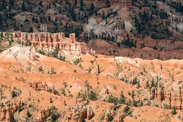 landscape on the bryce canyon in the united states of america